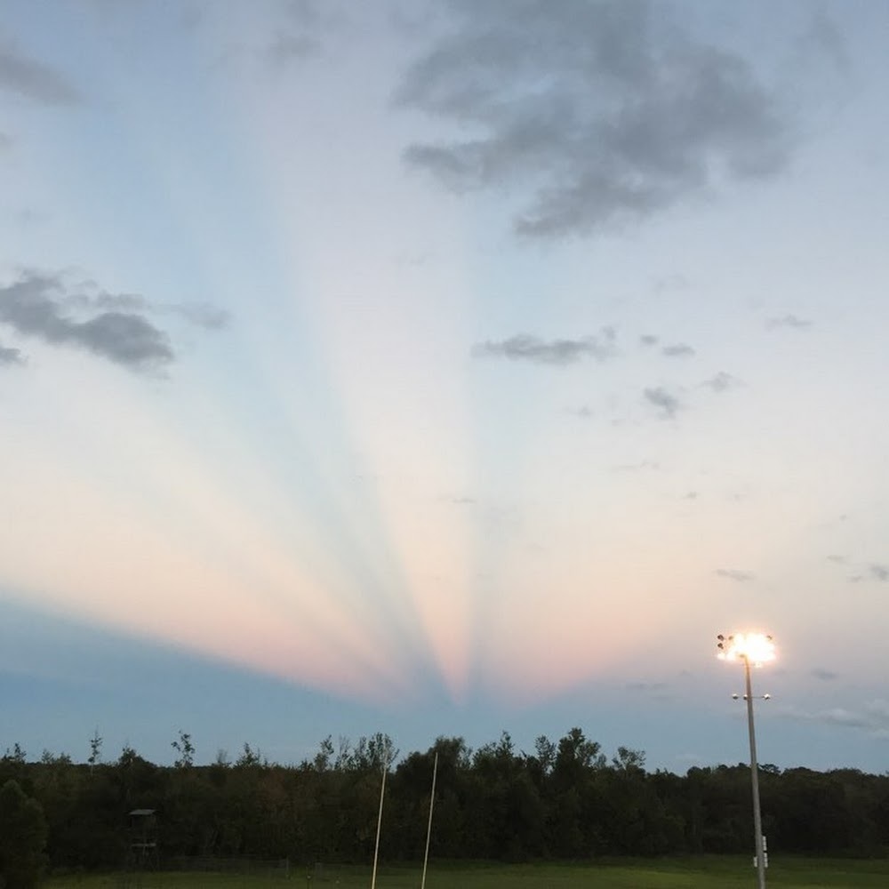 Meet your Posher, Caelum